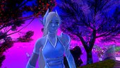 Fortnite Lady Windfrost (Elf)